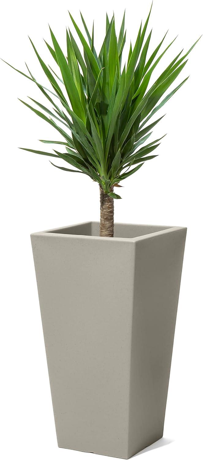 image:imageStep2 Tremont Tall Square Tapered Planter Large Planters for Outdoor Plants Gardening and Flower Pot for Patio or Porch Efficient Drainage Durable Plastic Dark Cedar 2PackConcrete