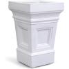Classic White